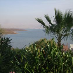 The Israeli side of the sea.