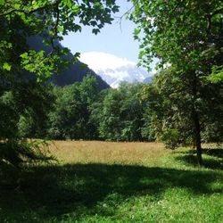 Fields at Trummelbach
