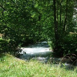 On the Lutschine River