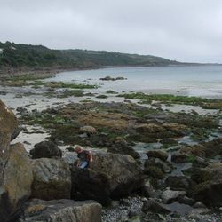 Coverack Beach