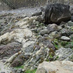 Where earth's crust pokes out onto Coverack Beach
