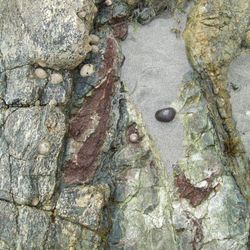 Intermediate zone, Coverack beach