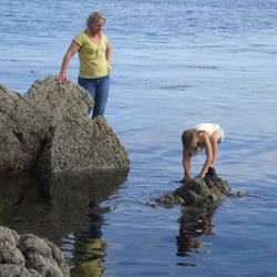 Retrieving the snared line