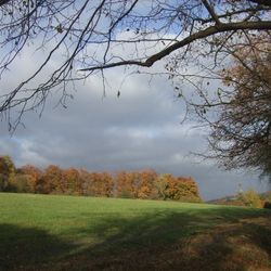 The autumn clouds gather