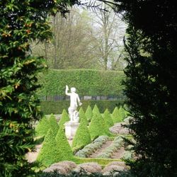 Bacchus through the peep-hole in the Yew Hedge, Ham House Cherry Garden