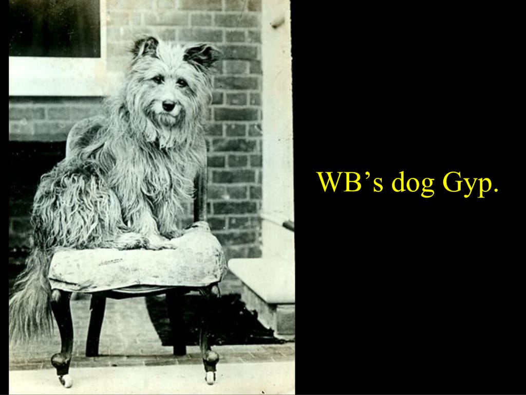 WB’s dog Gyp.